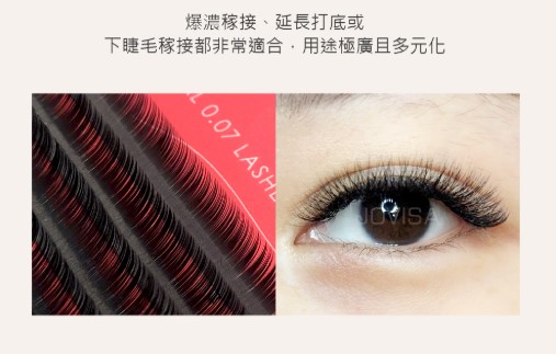 台灣 JOVISA 邑軒 皇家0.07系列睫毛 J 捲度 14MM 長度