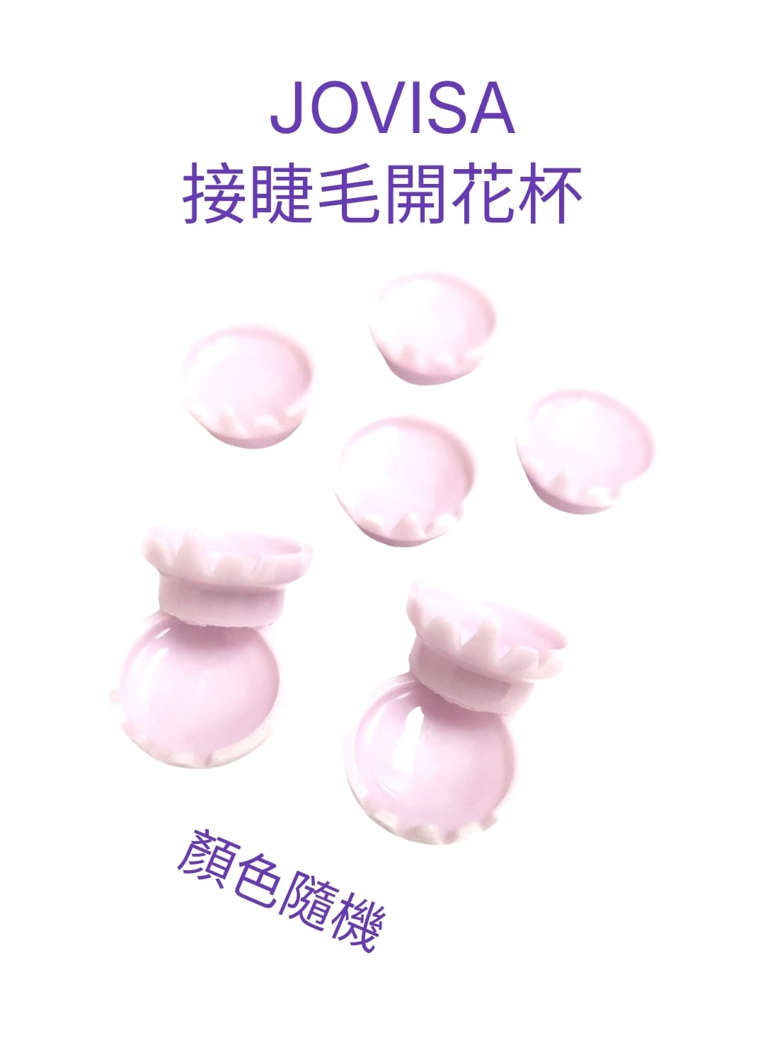 Jovisa Crown Flower Cup (Random Color) 1 pack/50 20g Japanese Korean Taiwanese Eyelash Extension